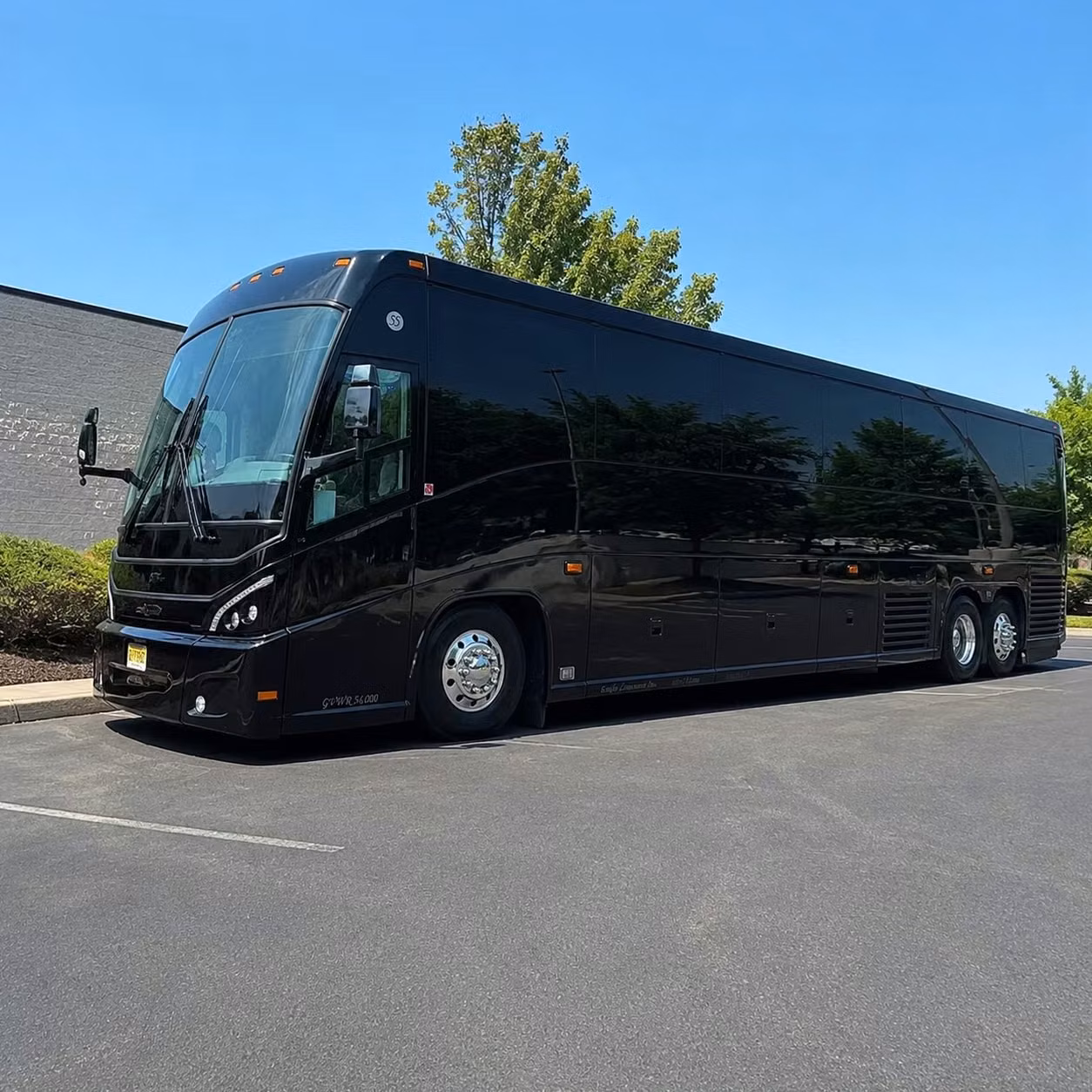 compare long distance transportation options in watsonville and beyond